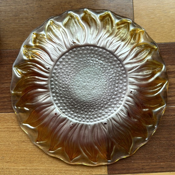 Pier 1 Imports Set of Floral Glass Plates - Picture 9 of 13